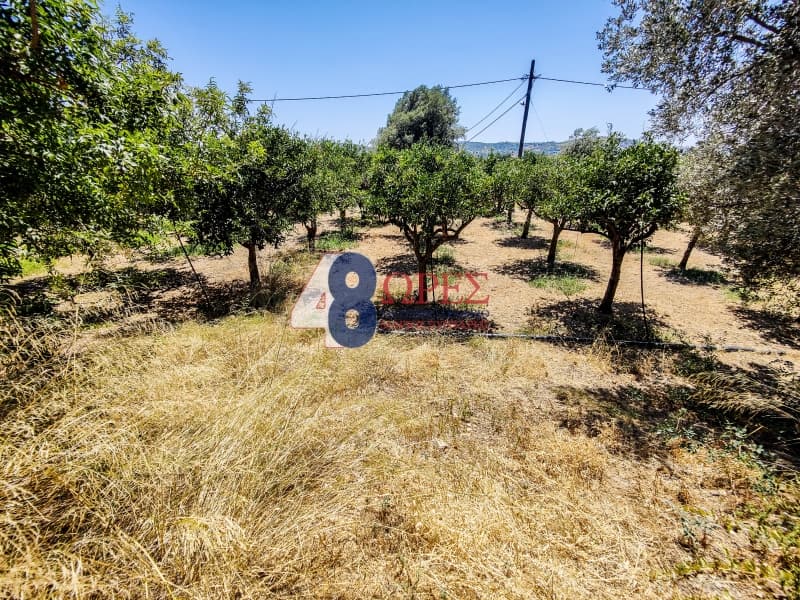 Building Plot in Agios Minas, Chios — Photo 6 of 25