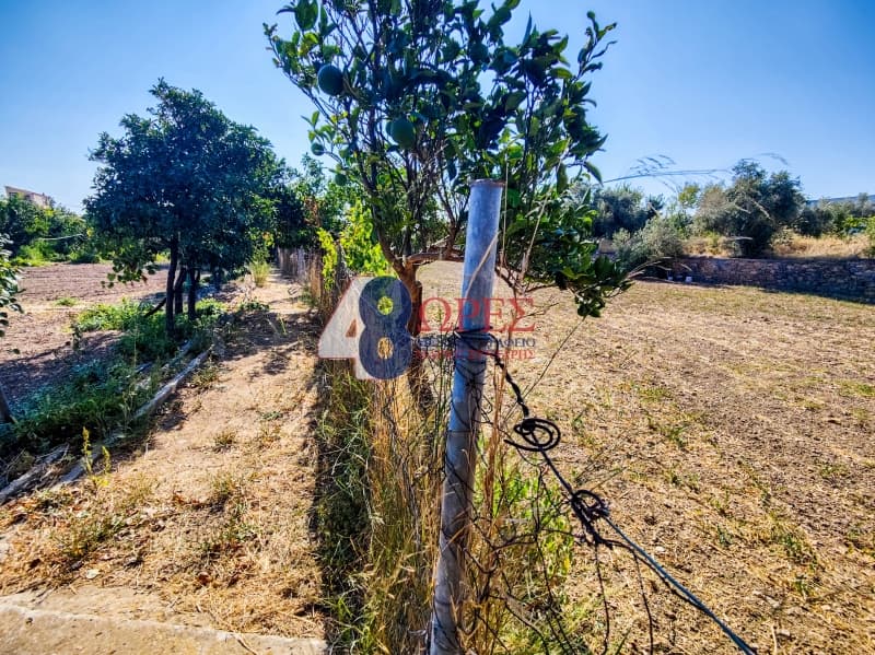 Building Plot in Chios town, Chios — Photo 15 of 25