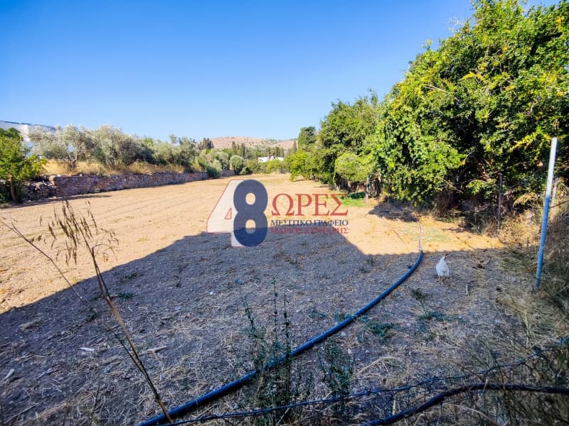 Building Plot in Chios town, Chios — Photo 9 of 25