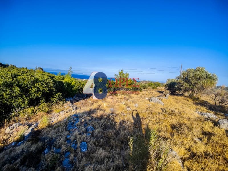 Οικόπεδο στην Πόλη Χίου, Χίος — Φωτογραφία 15 από 15