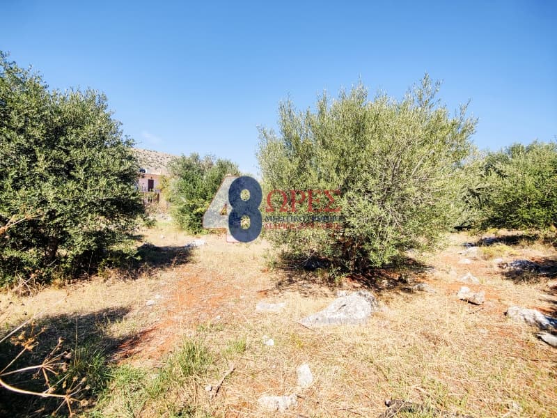 Οικόπεδο στην Πόλη Χίου, Χίος — Φωτογραφία 16 από 19