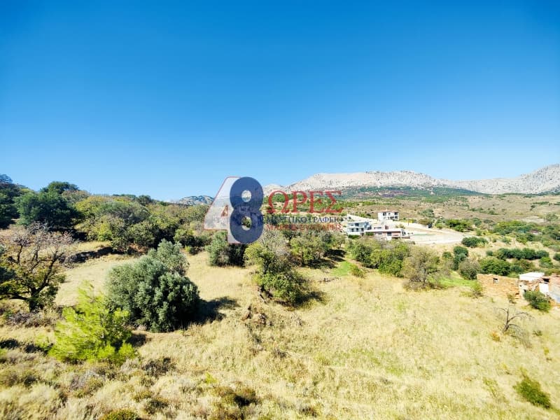 Οικόπεδο στην Πόλη Χίου, Χίος — Φωτογραφία 15 από 25