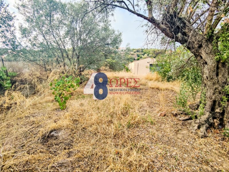 Οικόπεδο στην Άγιος Μηνάς, Χίος — Φωτογραφία 3 από 13