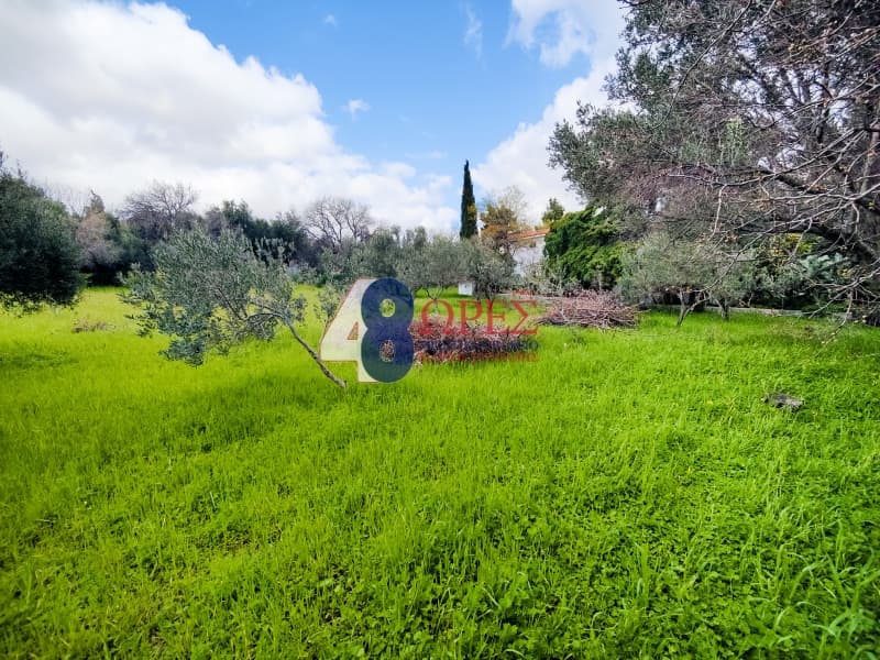 Οικόπεδο στην Πόλη Χίου, Χίος — Φωτογραφία 22 από 26