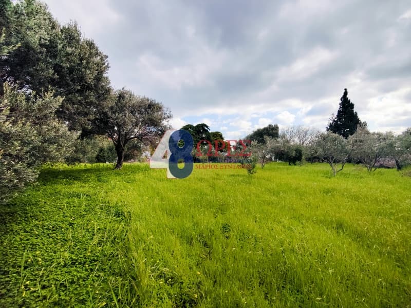 Οικόπεδο στην Πόλη Χίου, Χίος — Φωτογραφία 16 από 26