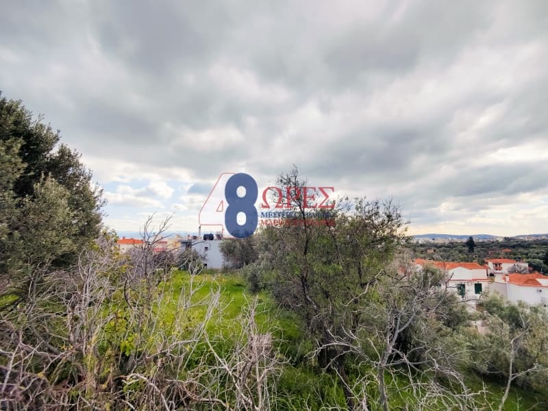 Οικόπεδο στην Πόλη Χίου, Χίος — Φωτογραφία 3 από 26
