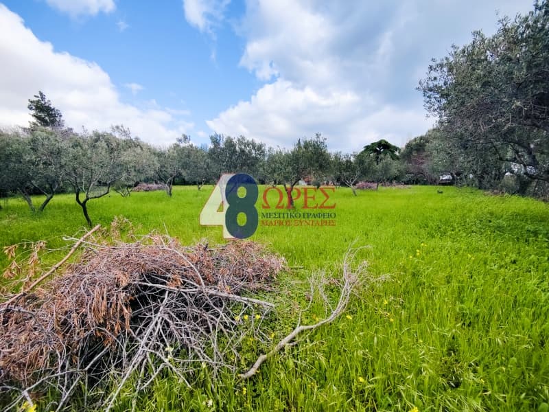Οικόπεδο στην Πόλη Χίου, Χίος — Φωτογραφία 18 από 26