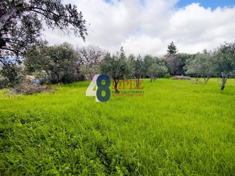 Οικόπεδο στην Πόλη Χίου, Χίος — Φωτογραφία 21 από 26
