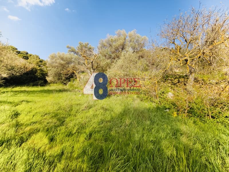 Οικόπεδο στην Πόλη Χίου, Χίος — Φωτογραφία 2 από 19