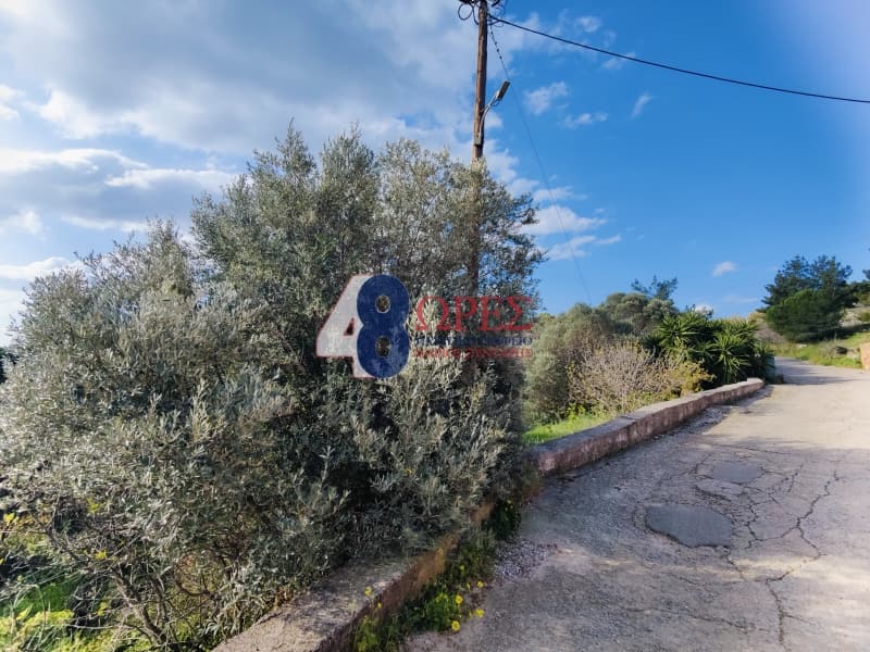 Οικόπεδο στην Πόλη Χίου, Χίος — Φωτογραφία 7 από 19