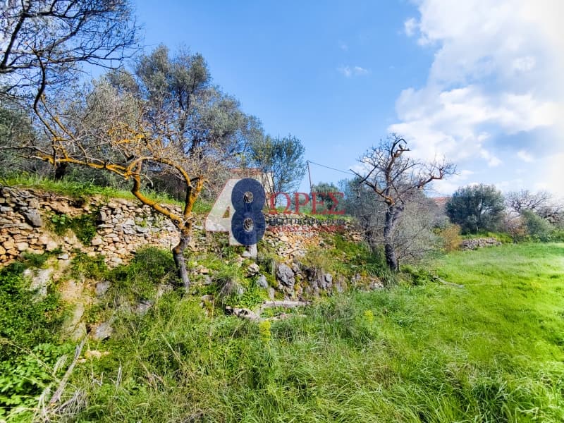 Οικόπεδο στην Πόλη Χίου, Χίος — Φωτογραφία 6 από 19
