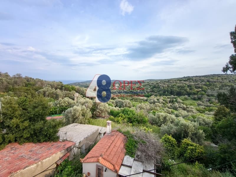 Μονοκατοικία στην Ιωνία, Χίος — Φωτογραφία 16 από 17