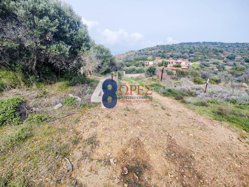 Οικόπεδο στην Άγιος Μηνάς, Χίος — Φωτογραφία 11 από 21