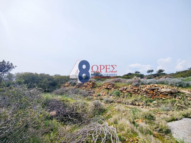 Οικόπεδο στην Άγιος Μηνάς, Χίος — Φωτογραφία 21 από 21
