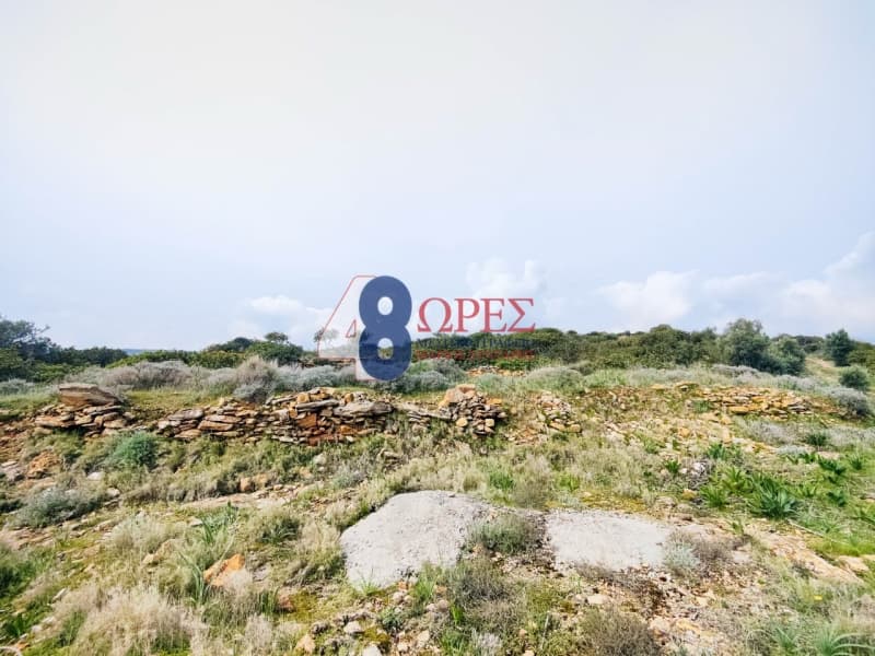 Οικόπεδο στην Άγιος Μηνάς, Χίος — Φωτογραφία 20 από 21
