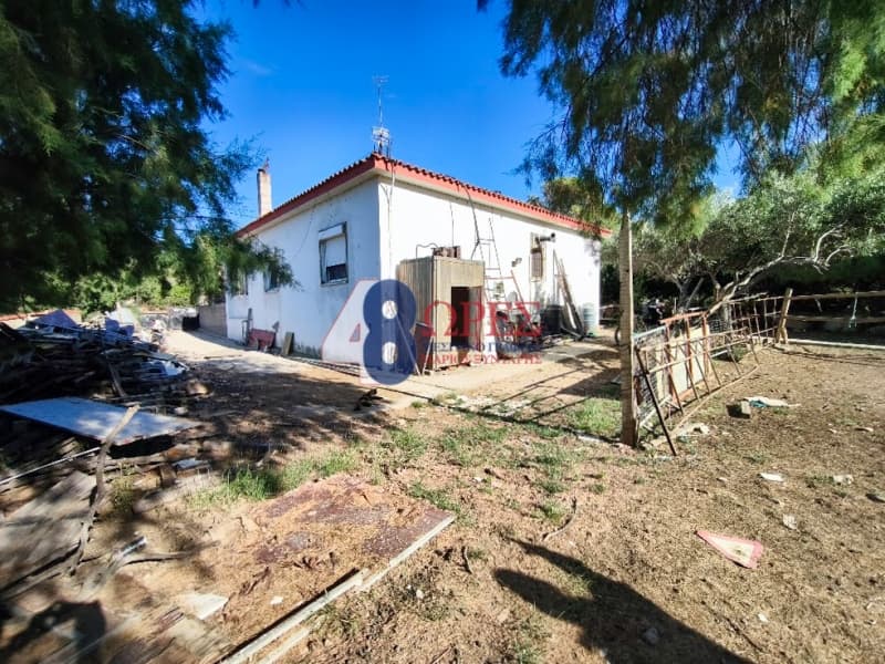 Μονοκατοικία στην Άγιος Μηνάς, Χίος — Φωτογραφία 13 από 18