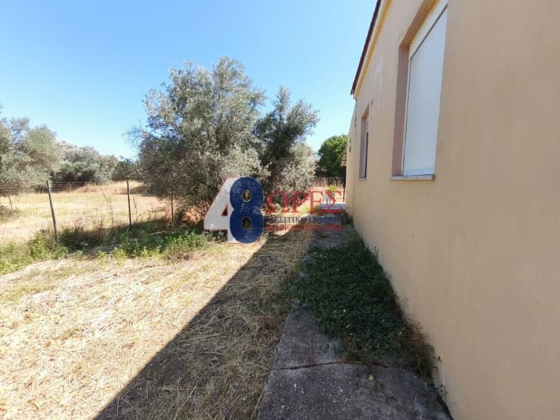Μονοκατοικία στην Άγιος Μηνάς, Χίος — Φωτογραφία 28 από 30