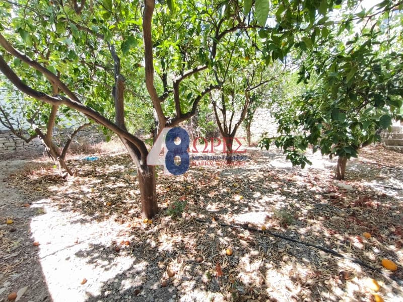 Μονοκατοικία στην Ιωνία, Χίος — Φωτογραφία 16 από 17