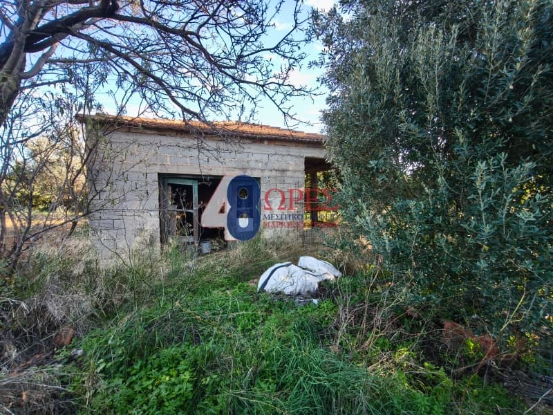 Οικόπεδο στην Άγιος Μηνάς, Χίος — Φωτογραφία 8 από 12