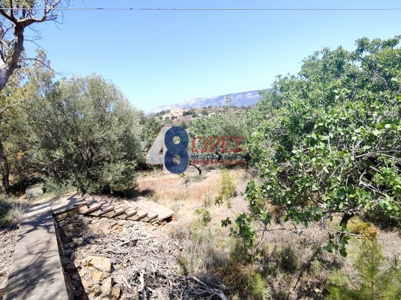 Μονοκατοικία στην Αμάνη, Χίος — Φωτογραφία 5 από 9