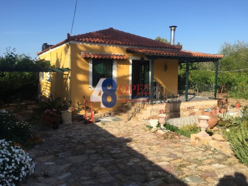 Μονοκατοικία στην Άγιος Μηνάς, Χίος — Φωτογραφία 6 από 30