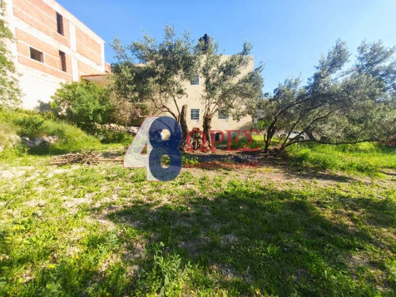 Οικόπεδο στην Πόλη Χίου, Χίος — Φωτογραφία 4 από 7