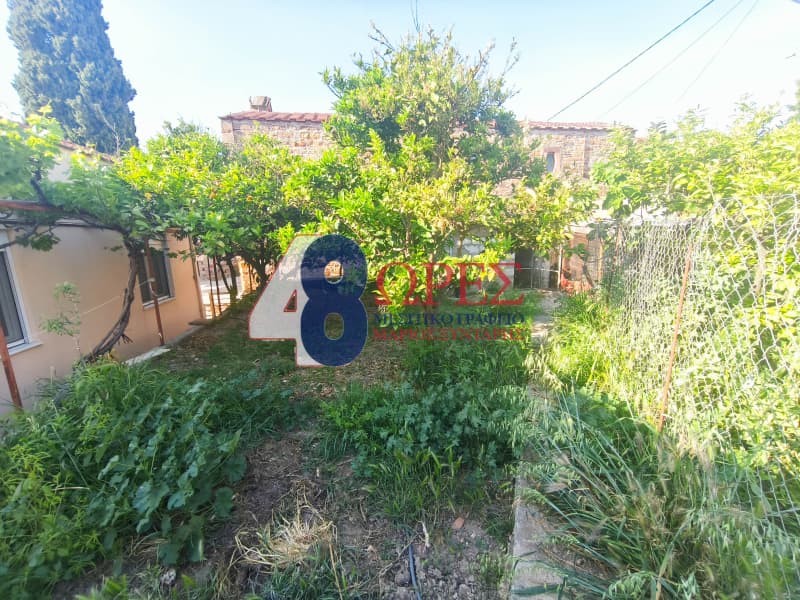 Μονοκατοικία στην Άγιος Μηνάς, Χίος — Φωτογραφία 30 από 30