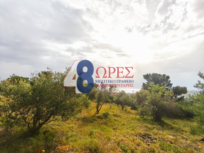 Οικόπεδο στην Πόλη Χίου, Χίος — Φωτογραφία 2 από 11