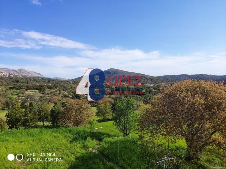 House in Kampochoria, Chios — Photo 23 of 23