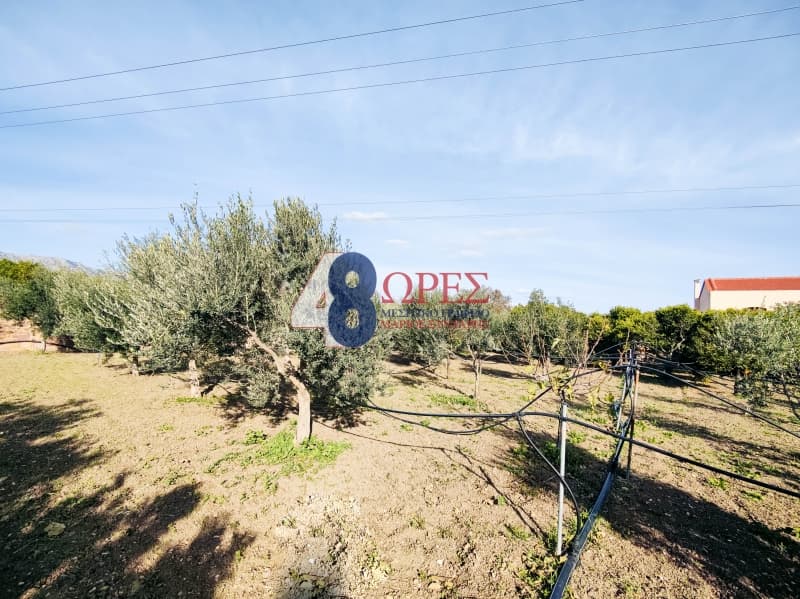 Building Plot in Agios Minas, Chios — Photo 28 of 30
