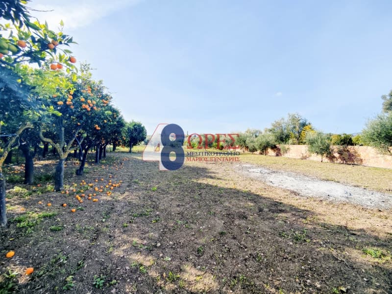 Building Plot in Agios Minas, Chios — Photo 29 of 30