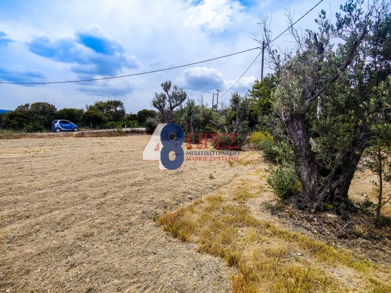 Building Plot in Ionia, Chios — Photo 8 of 11