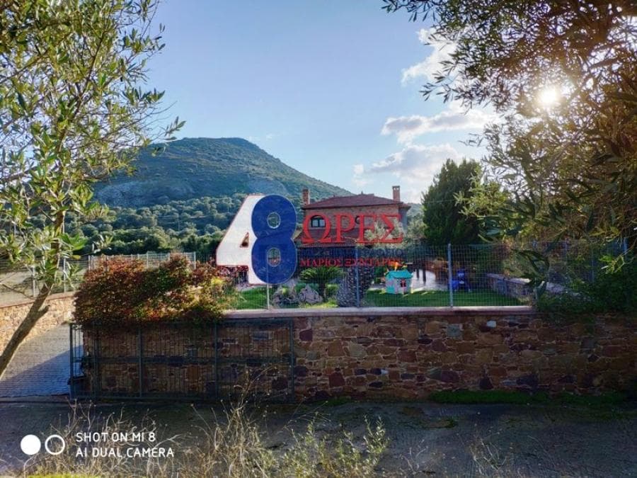 House in Mastichochoria, Chios — Photo 1 of 25
