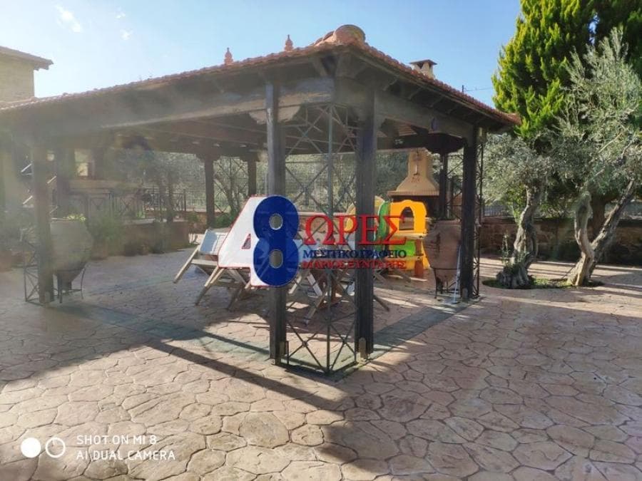 House in Mastichochoria, Chios — Photo 23 of 25