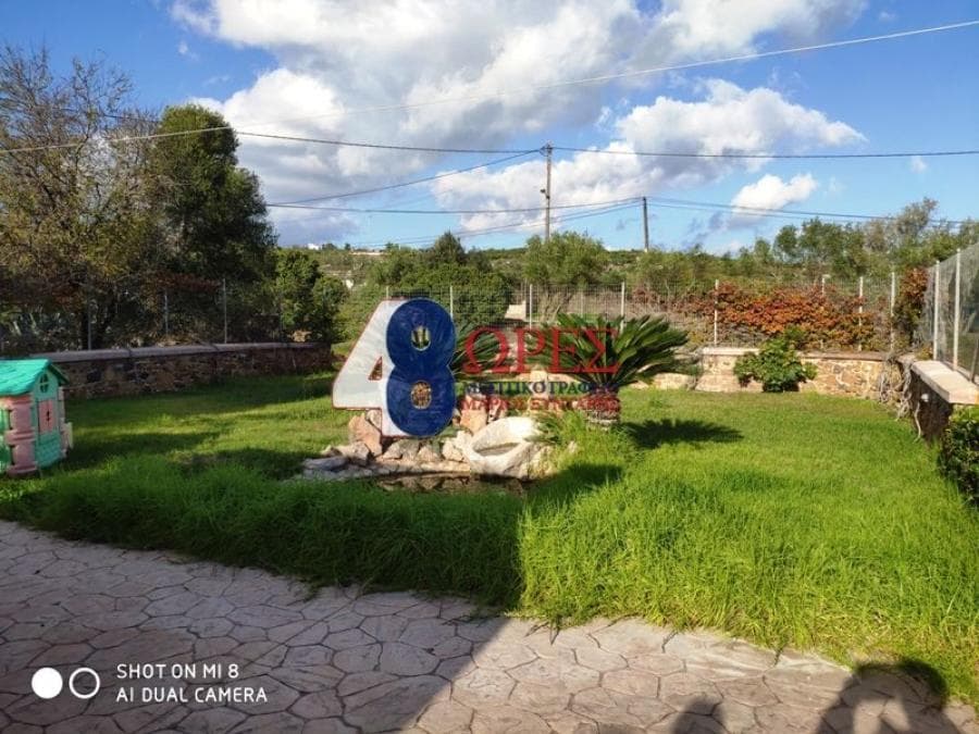 House in Mastichochoria, Chios — Photo 25 of 25