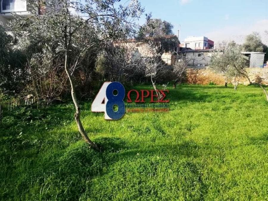 Building Plot in Omiroupoli, Chios — Photo 8 of 17