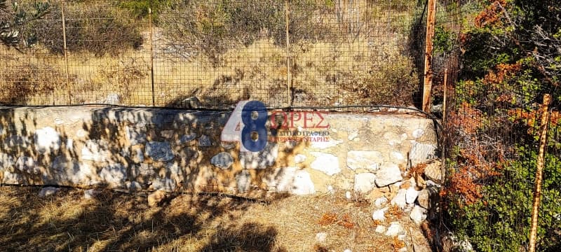 Parcel in Mastichochoria, Chios — Photo 4 of 12