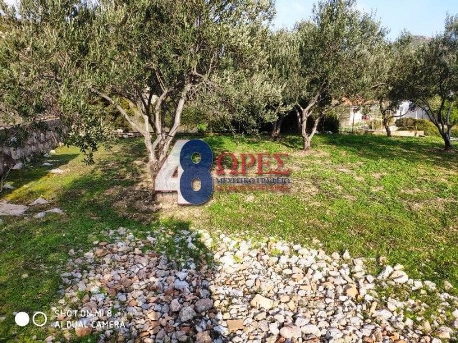 Parcel in Mastichochoria, Chios — Photo 10 of 12