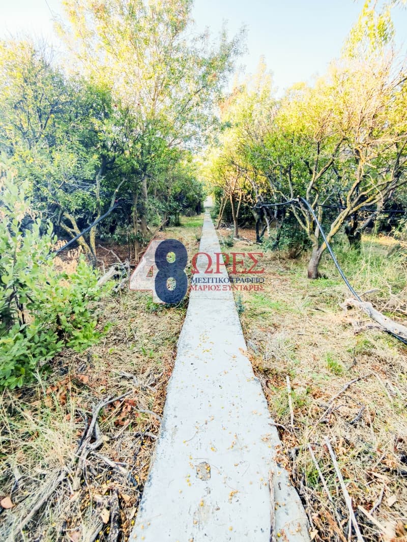 Building Plot in Agios Minas, Chios — Photo 9 of 23