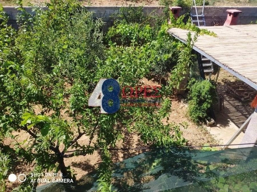 House in Kampochoria, Chios — Photo 23 of 25