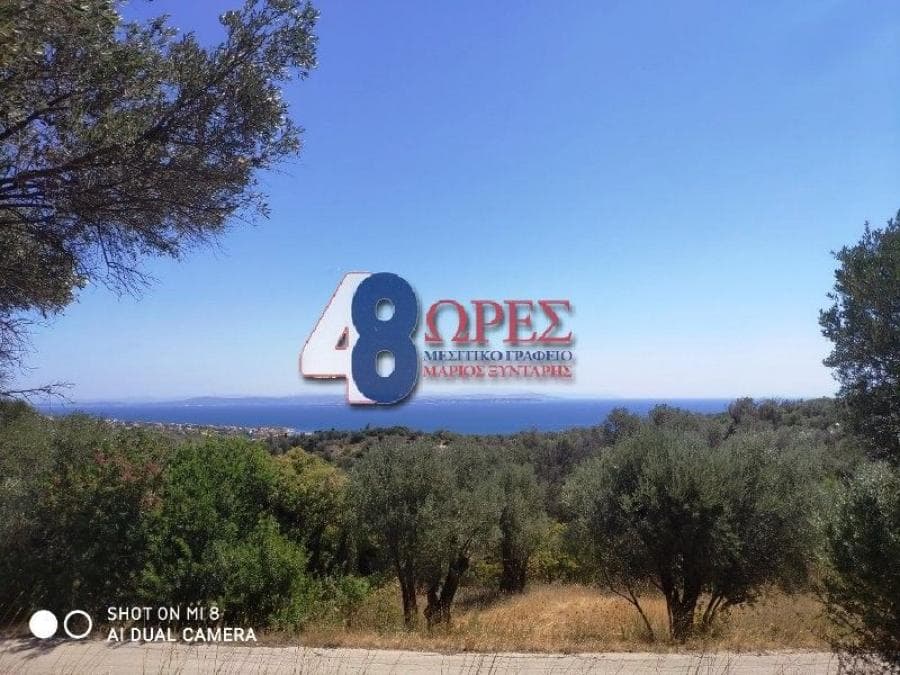 Αγροτεμάχιο στην Άγιος Μηνάς, Χίος — Φωτογραφία 1 από 13