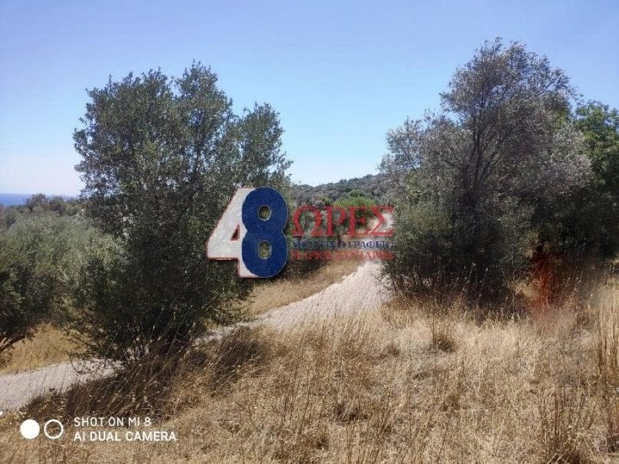 Αγροτεμάχιο στην Άγιος Μηνάς, Χίος — Φωτογραφία 10 από 13