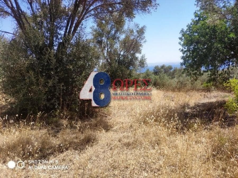 Αγροτεμάχιο στην Άγιος Μηνάς, Χίος — Φωτογραφία 2 από 13