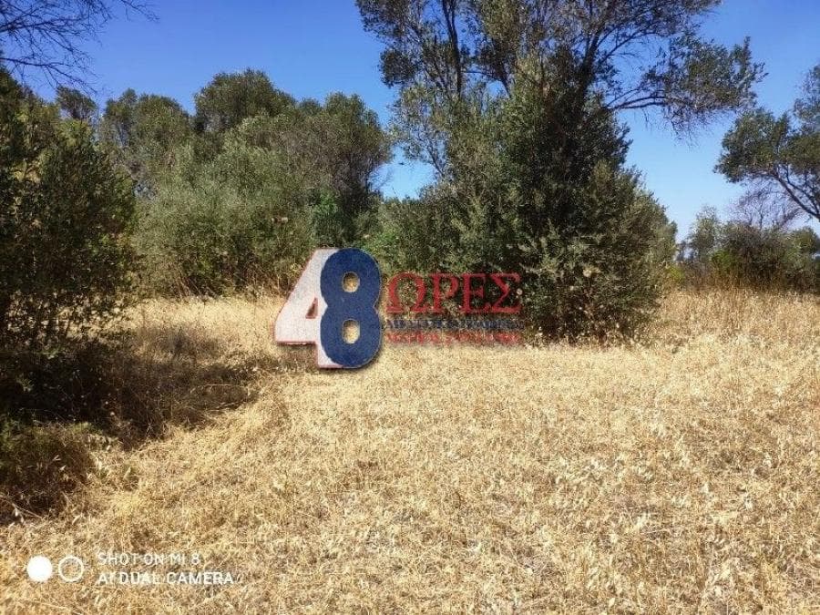 Αγροτεμάχιο στην Άγιος Μηνάς, Χίος — Φωτογραφία 3 από 13