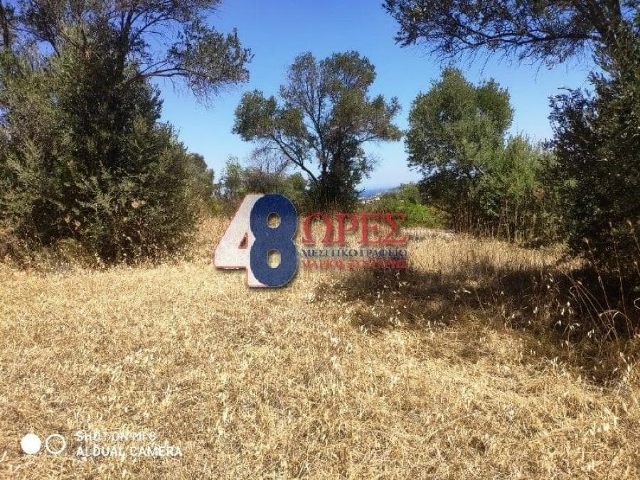 Αγροτεμάχιο στην Άγιος Μηνάς, Χίος — Φωτογραφία 5 από 13
