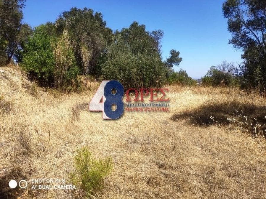 Αγροτεμάχιο στην Άγιος Μηνάς, Χίος — Φωτογραφία 6 από 13