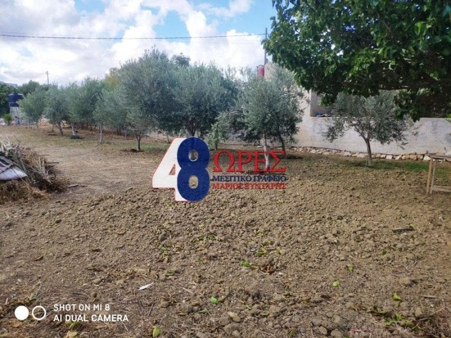 Parcel in Agios Minas, Chios — Photo 1 of 16