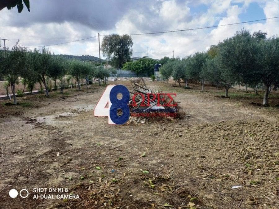 Parcel in Agios Minas, Chios — Photo 2 of 16