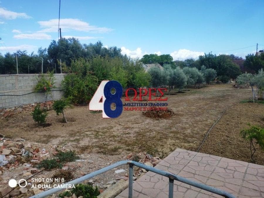 Parcel in Agios Minas, Chios — Photo 8 of 16