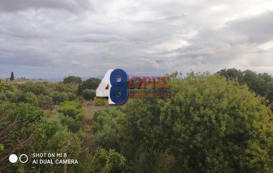 House in Agios Minas, Chios — Photo 23 of 25